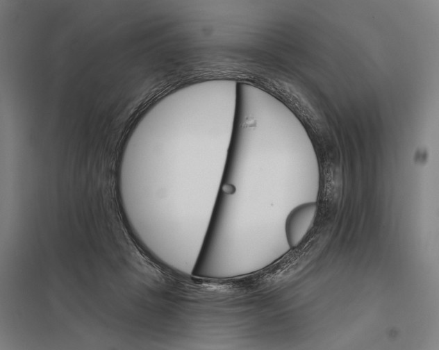 X0000097850457200803281253