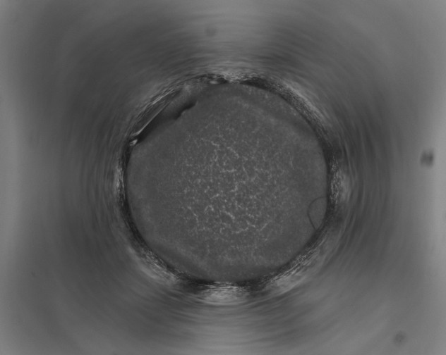 X0000097850459200803281253