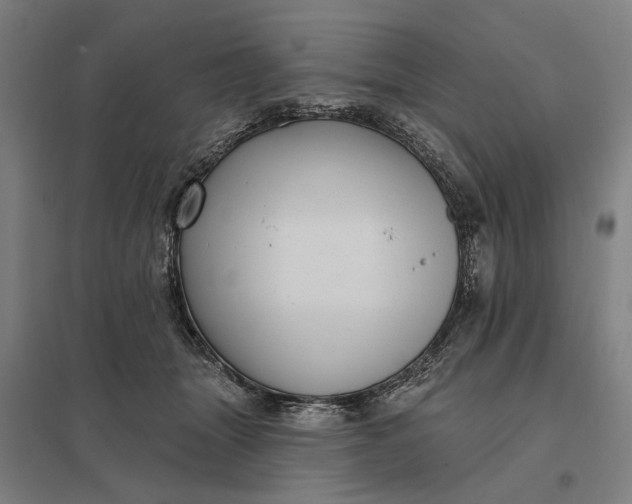 X0000097850463200803281253