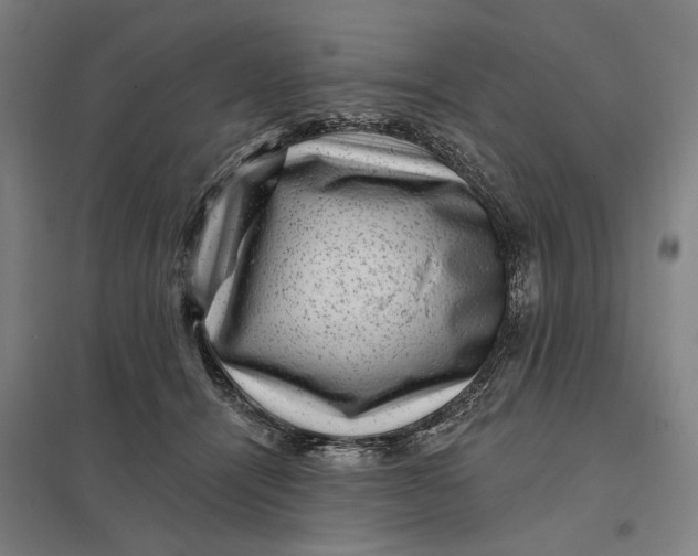 X0000097850464200803281253