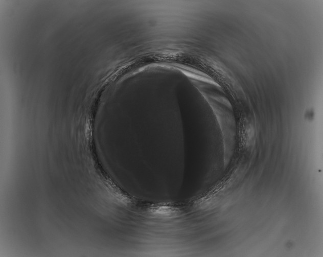 X0000097850467200803281253