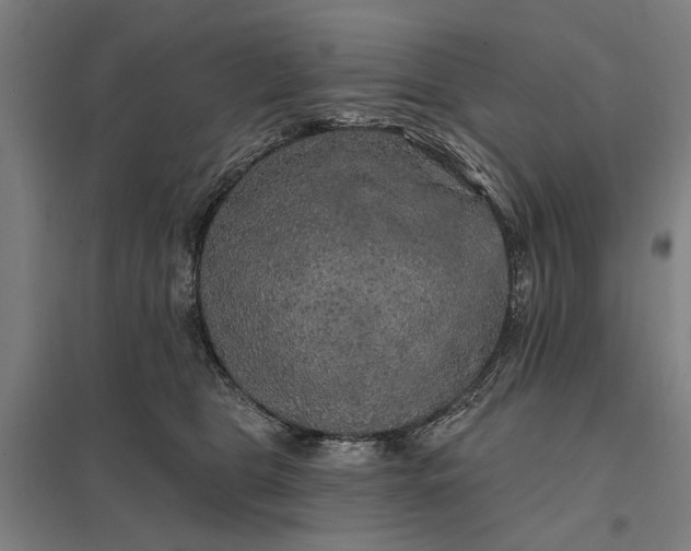 X0000097850469200803281253