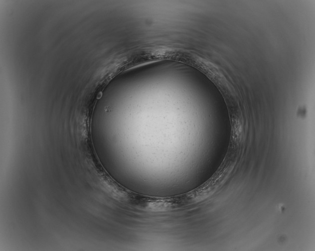 X0000097850470200803281253