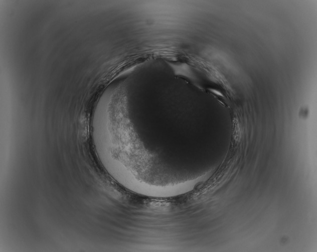 X0000097850471200803281253