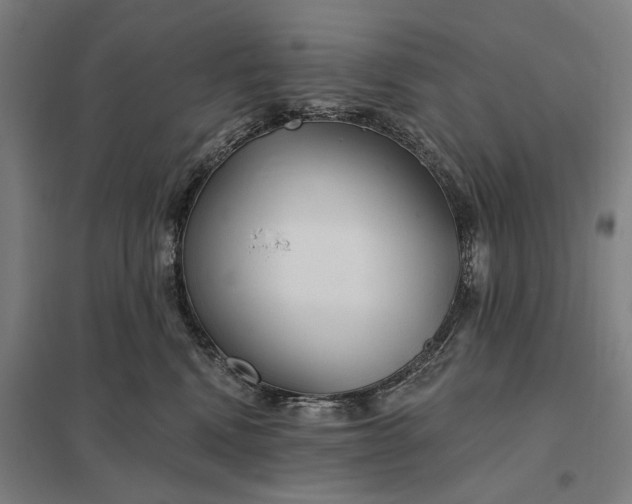 X0000097850472200803281253