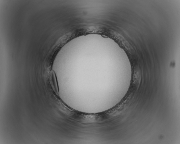 X0000097850473200803281253