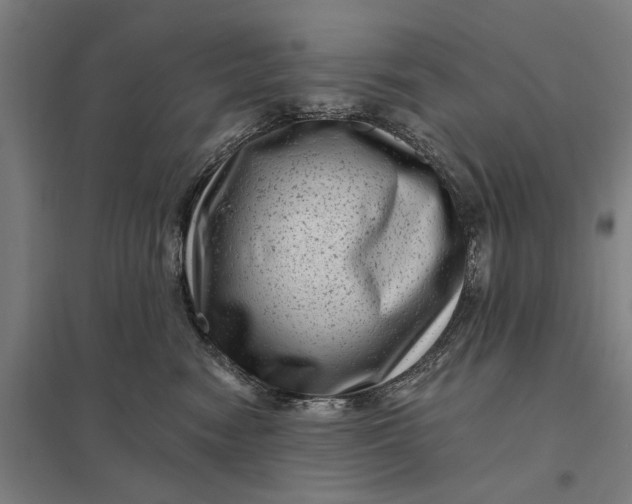 X0000097850474200803281253