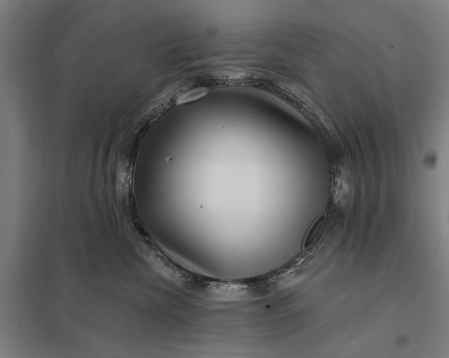 X0000097850476200803281253