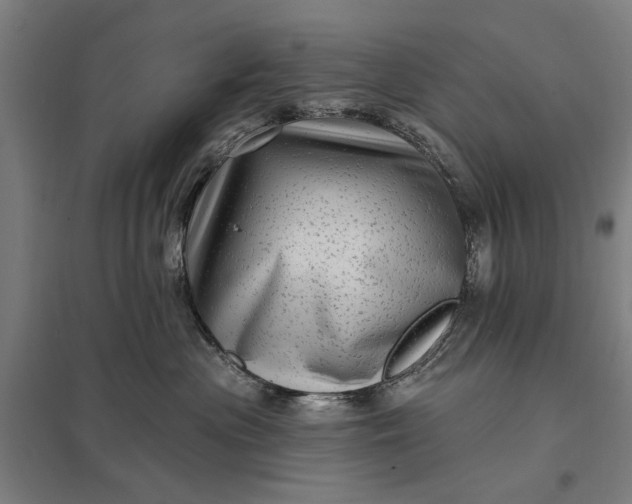 X0000097850477200803281253