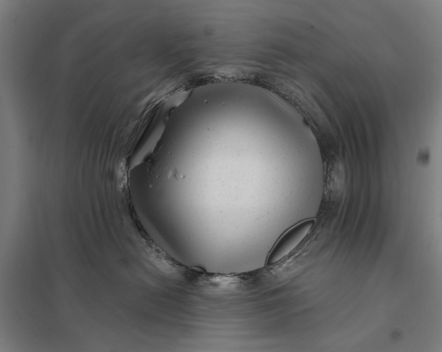 X0000097850478200803281253