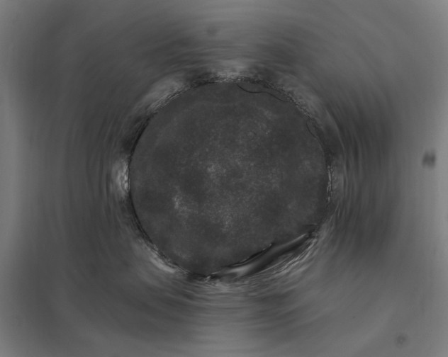 X0000097850479200803281253