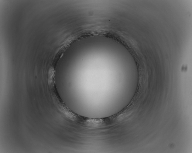 X0000097850480200803281253