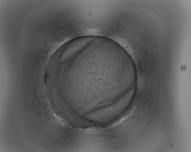 X0000097850481200803281252