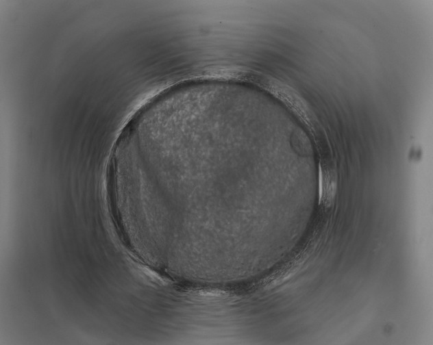 X0000097850483200803281252