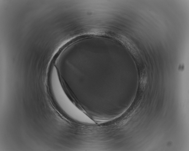 X0000097850484200803281252