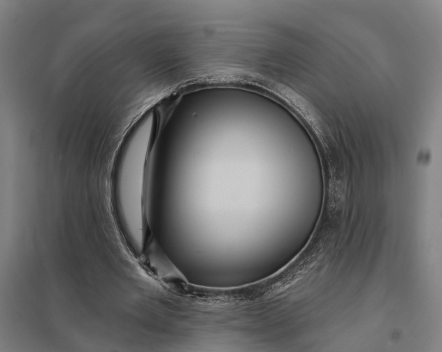 X0000097850485200803281252