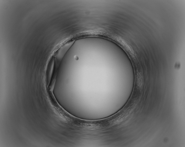 X0000097850486200803281252