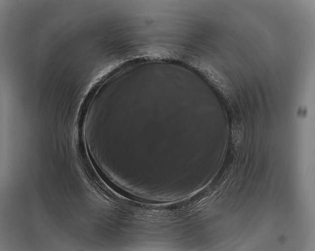 X0000097850488200803281252