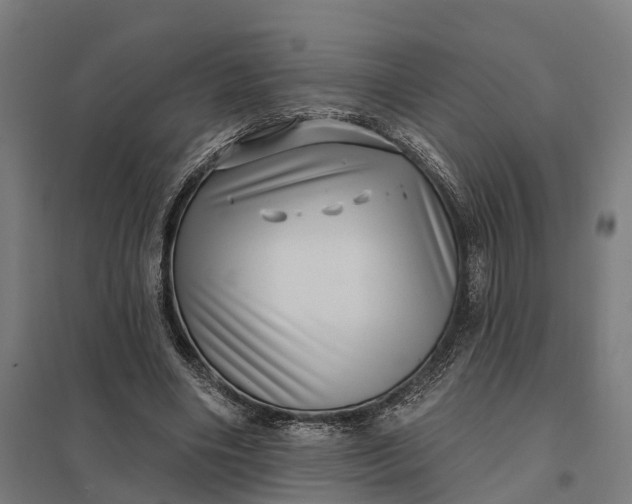 X0000097850490200803281252