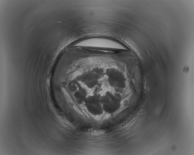 X0000097850491200803281252