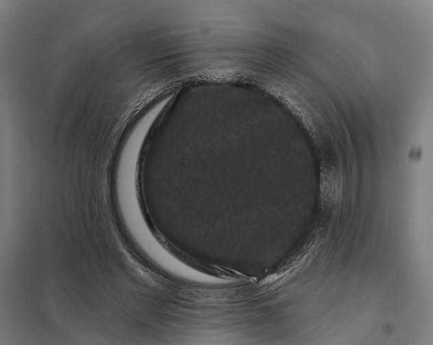 X0000097850493200803281252