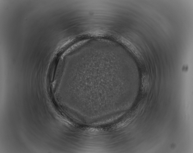 X0000097850494200803281252