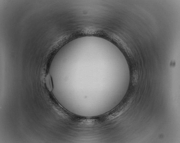 X0000097850497200803281252