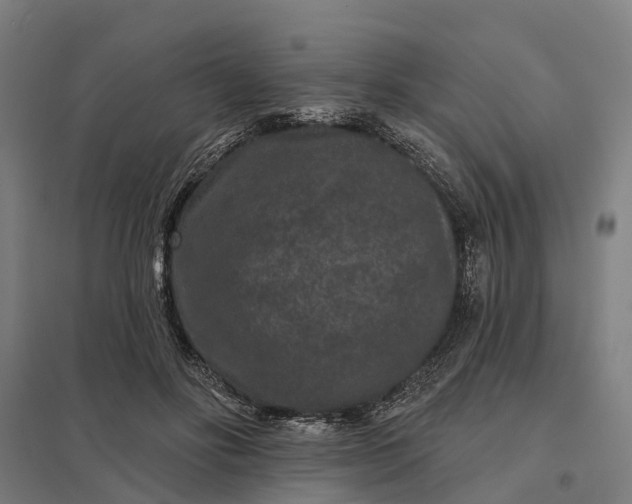 X0000097850502200803281252