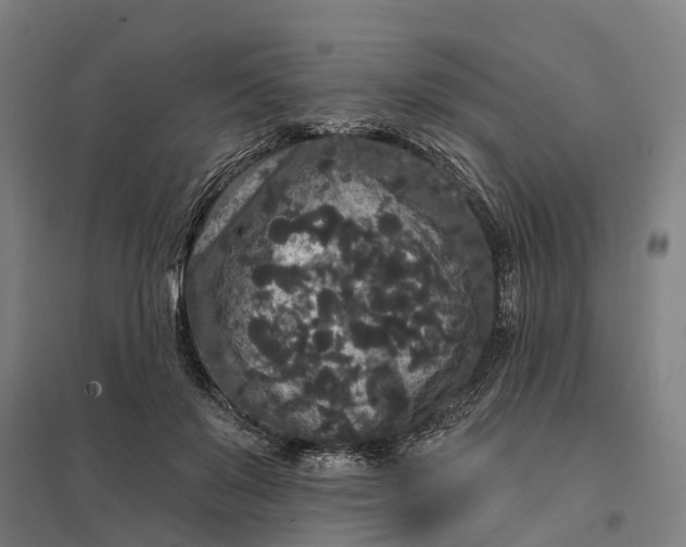 X0000097850503200803281252