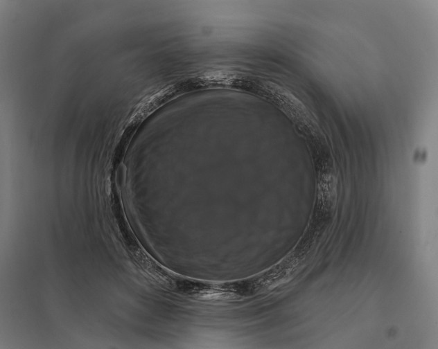 X0000097850504200803281252