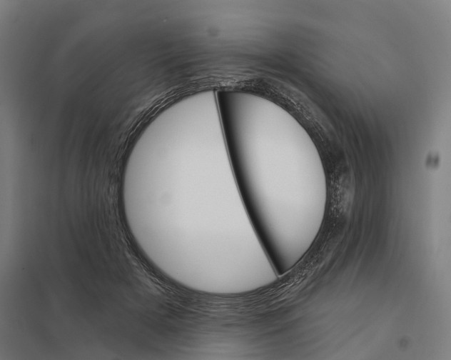 X0000097850505200803281252