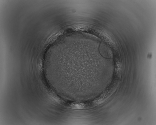 X0000097850506200803281252