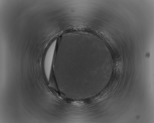 X0000097850508200803281252