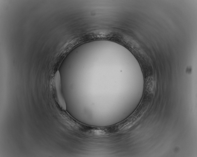 X0000097850509200803281252