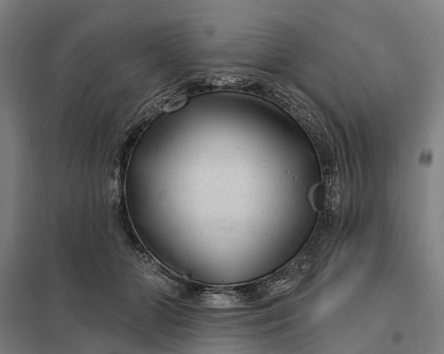 X0000097850510200803281252