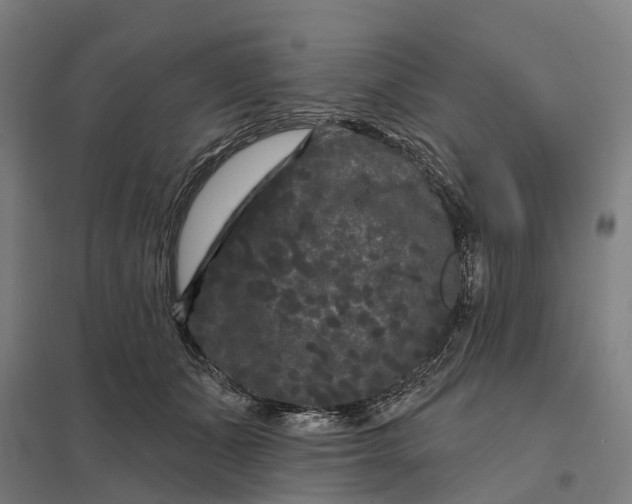 X0000097850511200803281252