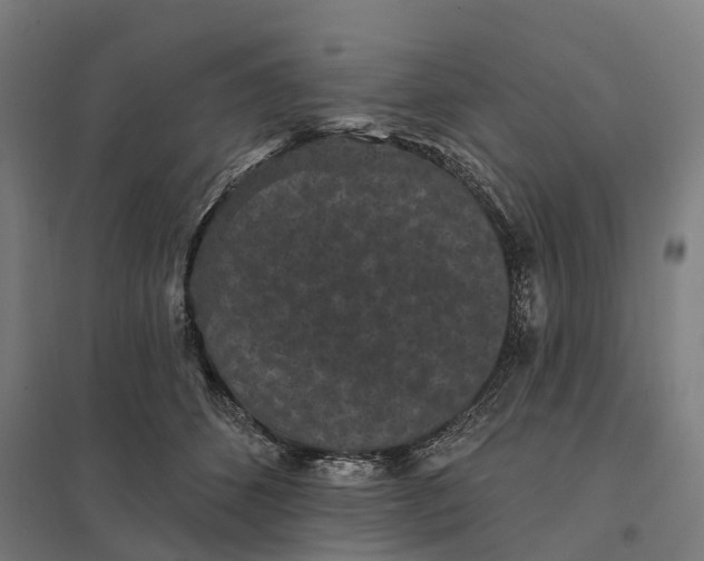 X0000097850512200803281252