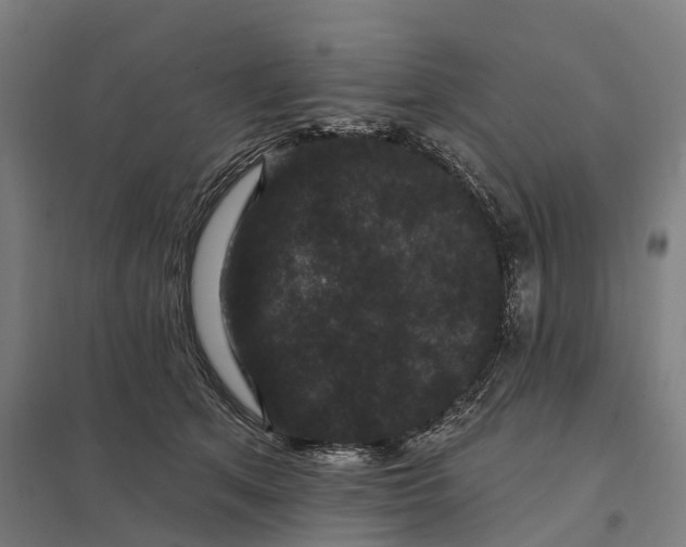 X0000097850513200803281252