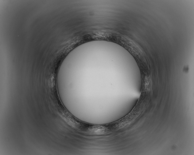 X0000097850514200803281252