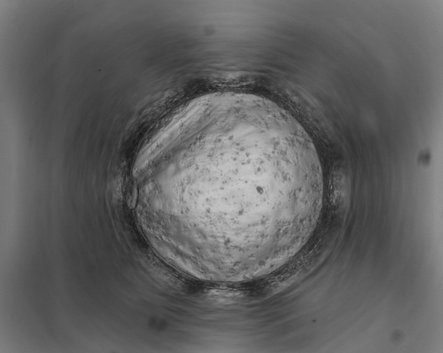 X0000097850515200803281252