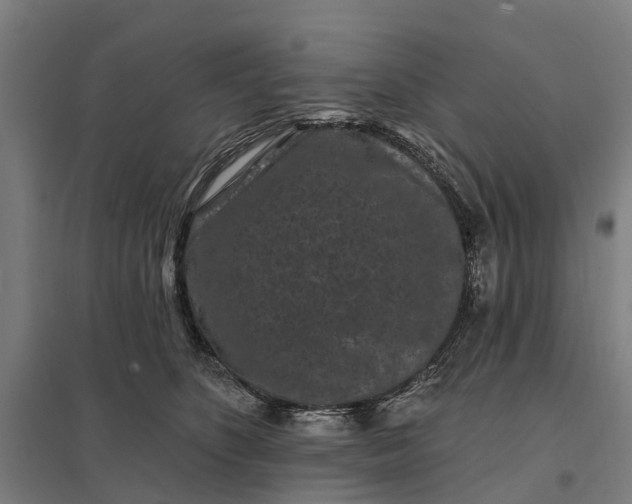 X0000097850516200803281252