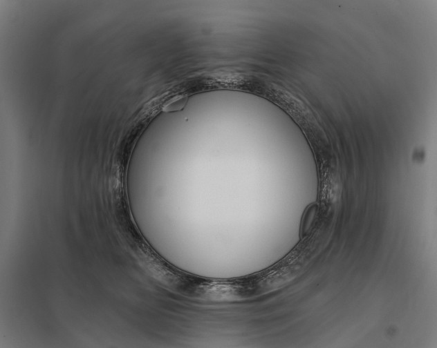 X0000097850518200803281252