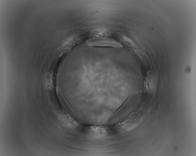 X0000097850520200803281252