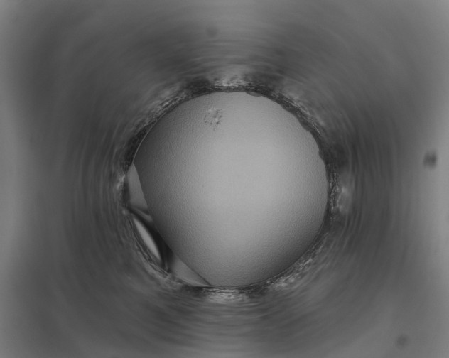 X0000097850521200803281252