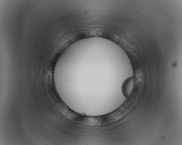 X0000097850522200803281252