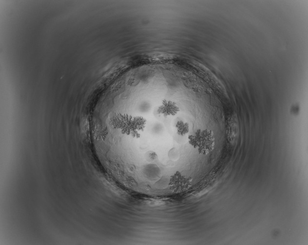 X0000097850523200803281252