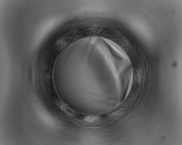 X0000097850526200803281252