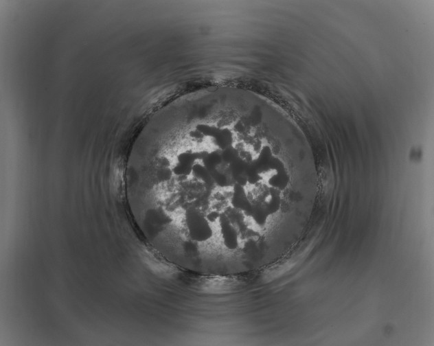 X0000097850527200803281252