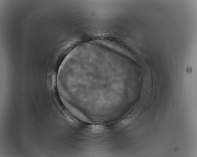 X0000097850528200803281252