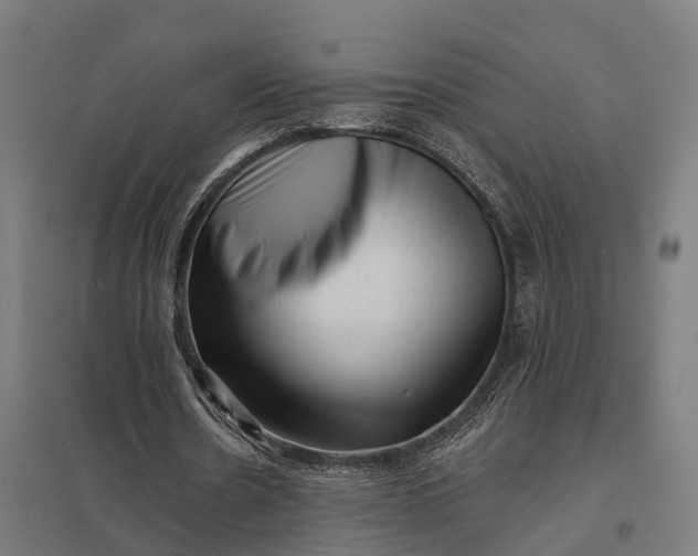 X0000097850530200803281251